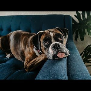 Meet your Posher, Michael